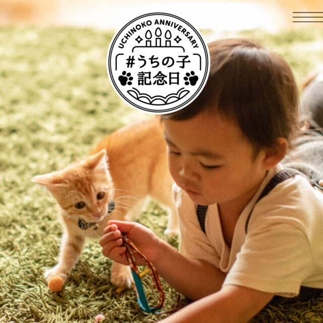 建材フリマサイト「atATTA」